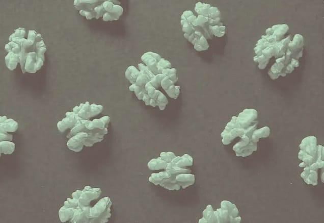 Cómo la meditación cambia el cerebro